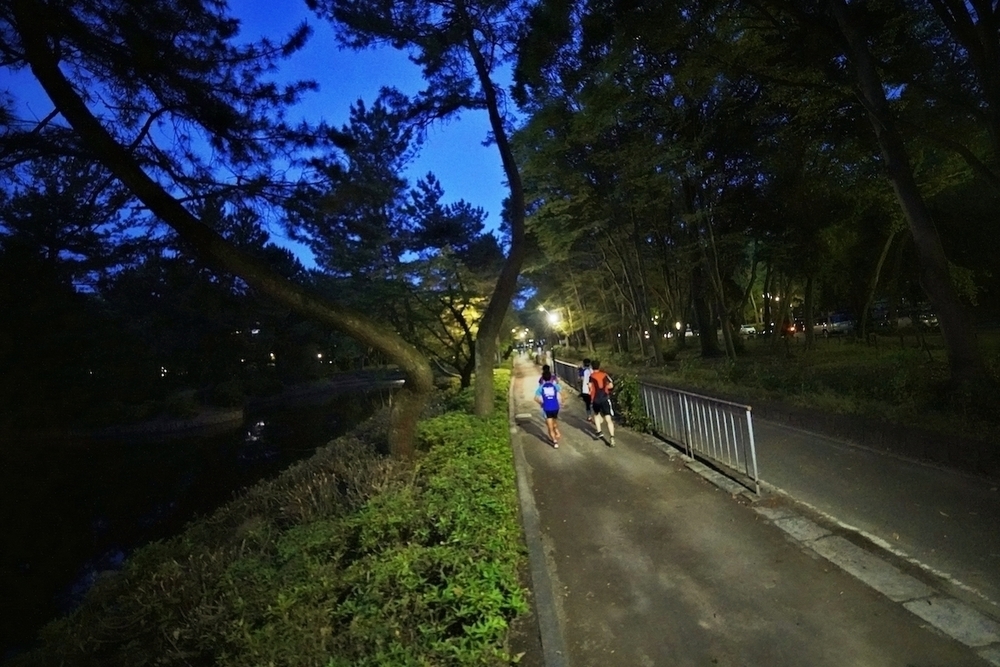 1周1.3km・名城公園周回コースの写真4