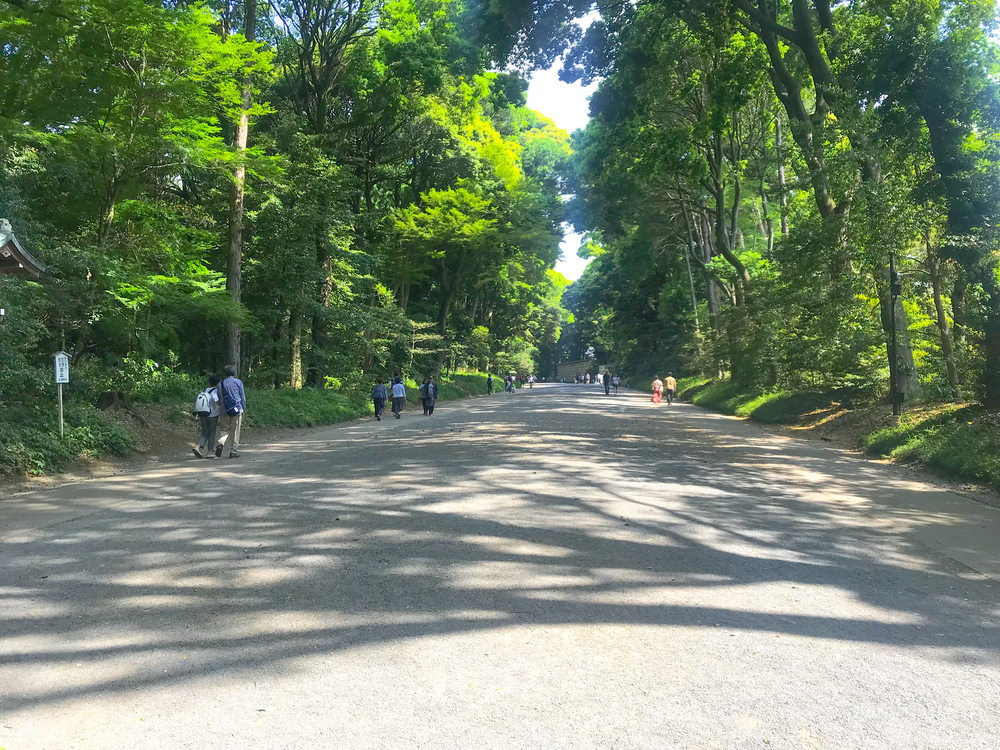 【東京・渋谷】都心のオアシスを巡るGreen Runtripの写真3