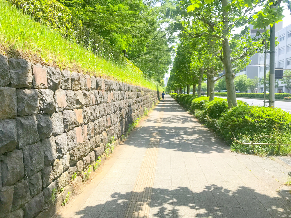 【東京・渋谷】都心のオアシスを巡るGreen Runtripの写真6