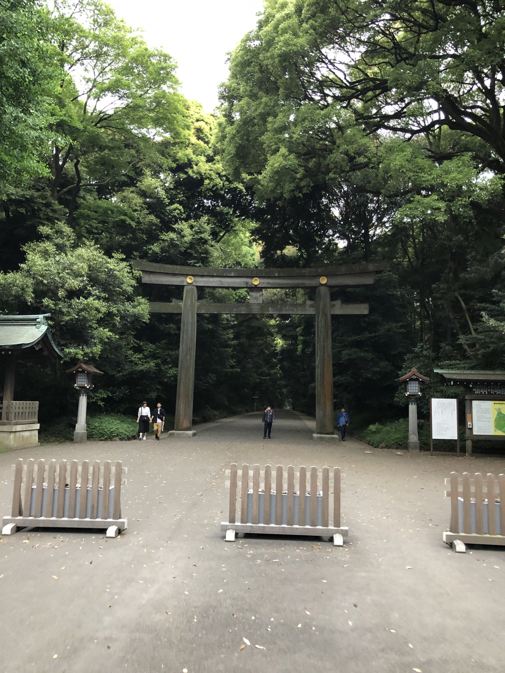 青山〜代々木公園の写真3