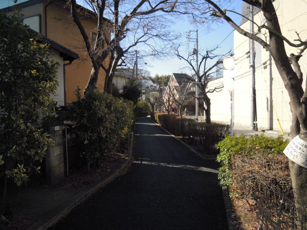 横浜「せせらぎ緑道」から「満点の湯」の写真3