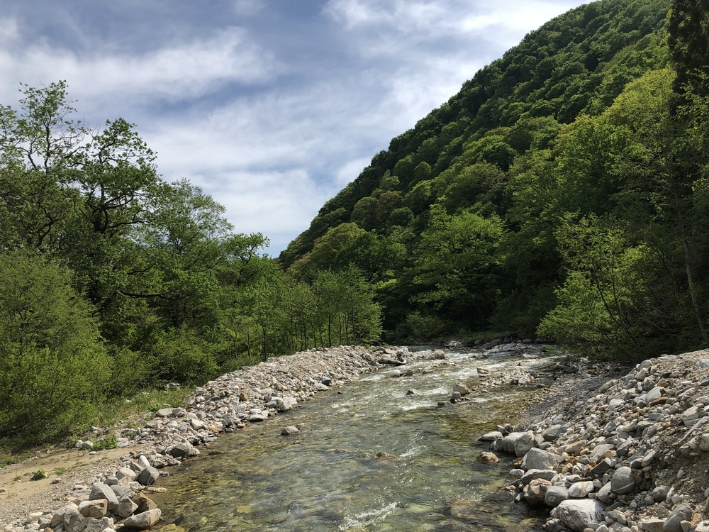 美しい緑のコントラストを楽しめる⛰TOGA天空トレイルラン2019 - ミドルの部の写真4