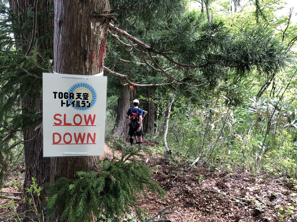 美しい緑のコントラストを楽しめる⛰TOGA天空トレイルラン2019 - ミドルの部の写真5