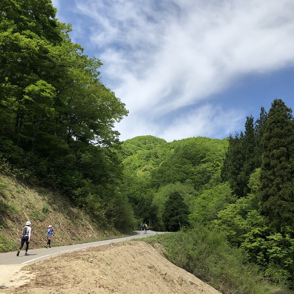 美しい緑のコントラストを楽しめる⛰TOGA天空トレイルラン2019 - ミドルの部の写真8