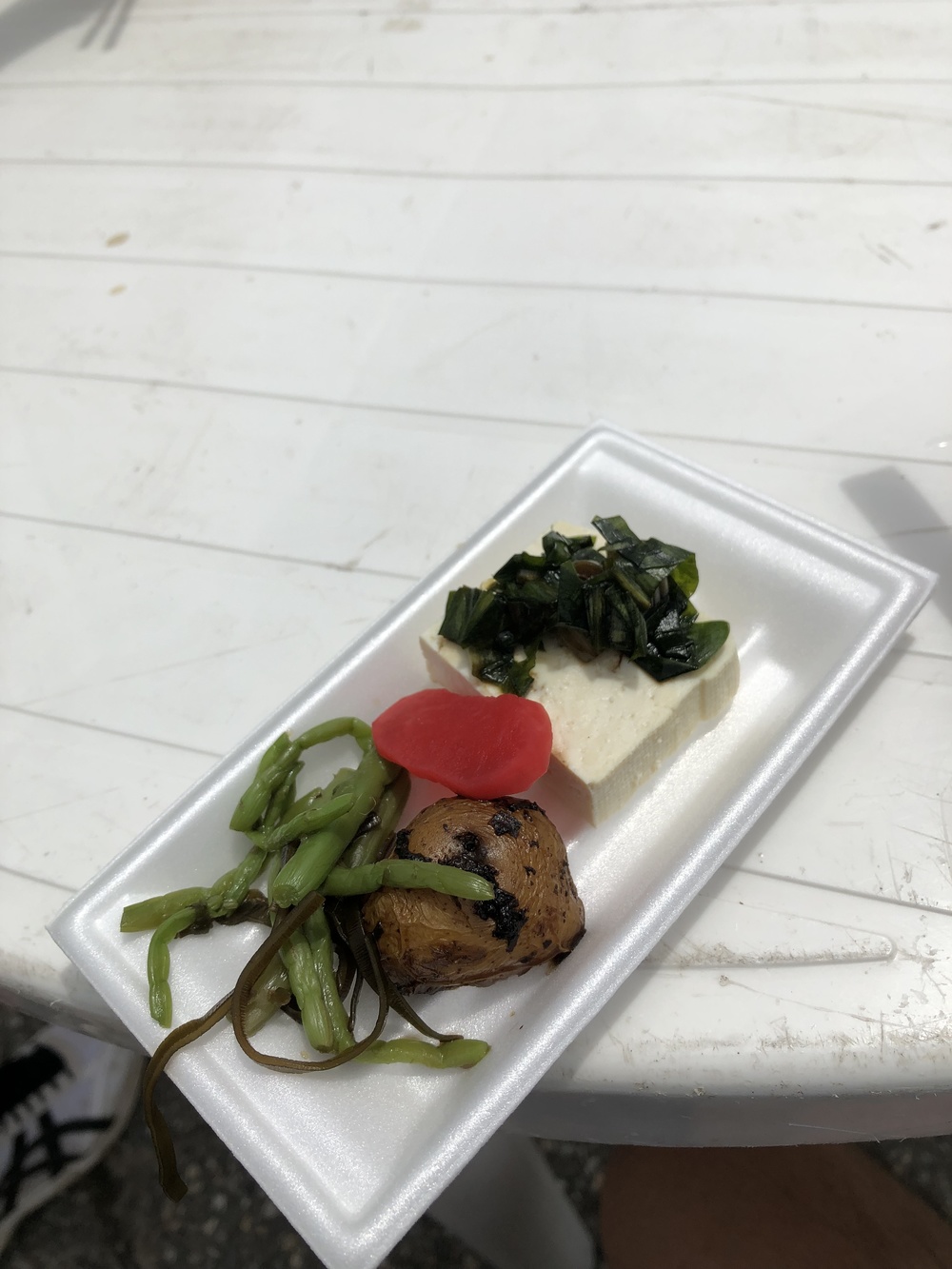 美しい緑のコントラストを楽しめる⛰TOGA天空トレイルラン2019 - ミドルの部の写真9