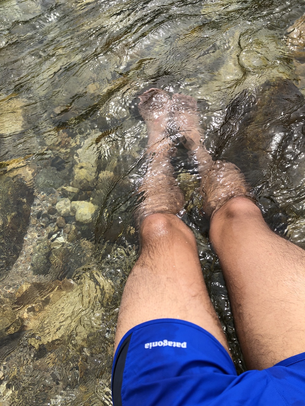 美しい緑のコントラストを楽しめる⛰TOGA天空トレイルラン2019 - ミドルの部の写真10