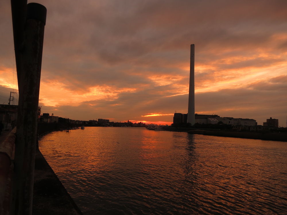 市川浦安葛西４０キロ走の写真3
