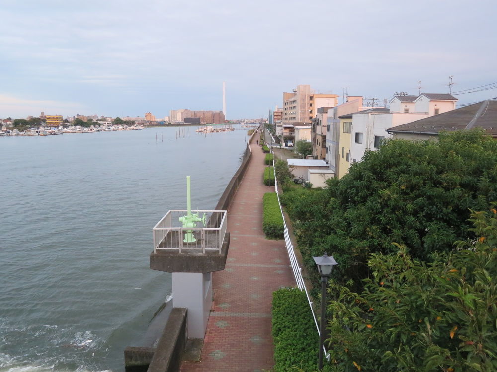 市川浦安葛西４０キロ走の写真4