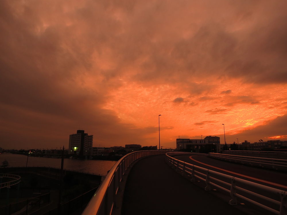 市川浦安葛西４０キロ走の写真5