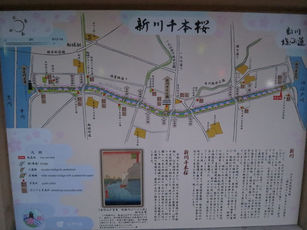 市川浦安葛西４０キロ走の写真6