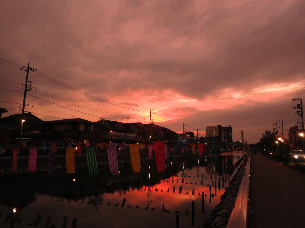 市川浦安葛西４０キロ走の写真7