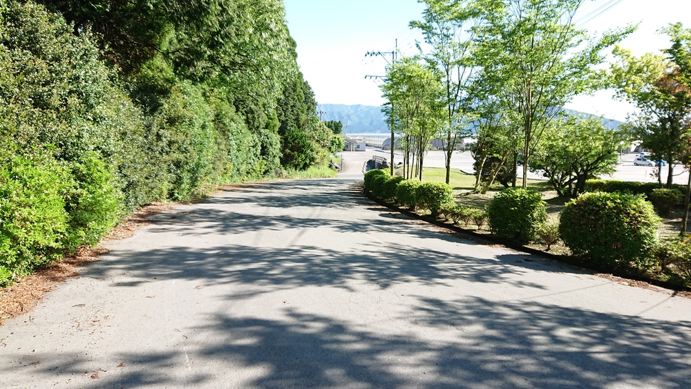 阿蘇公園下野線を走るファームランド周遊コースの写真3