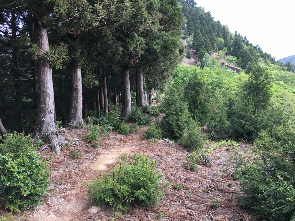 鯖街道ウルトラマラソンの写真6