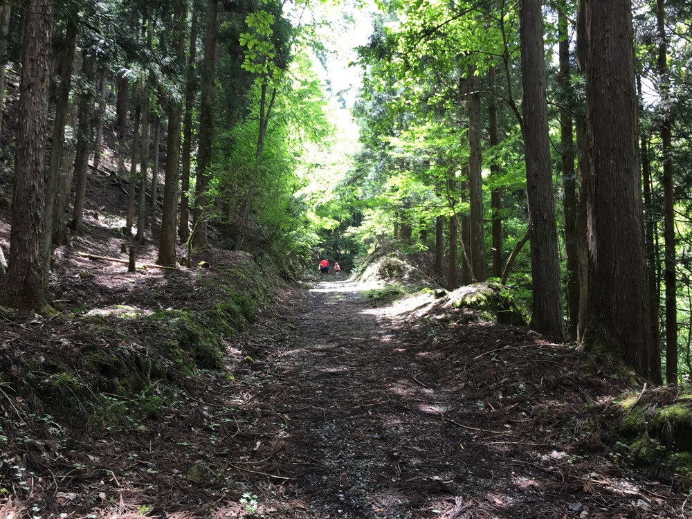 鯖街道ウルトラマラソンの写真8