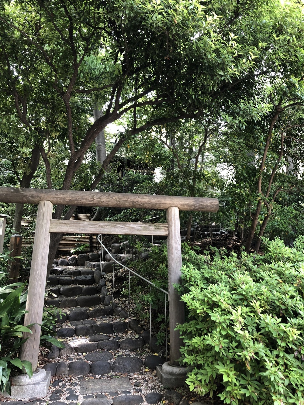 渋谷から代官山へ、時代の移ろいを感じるRuntrip。の写真7