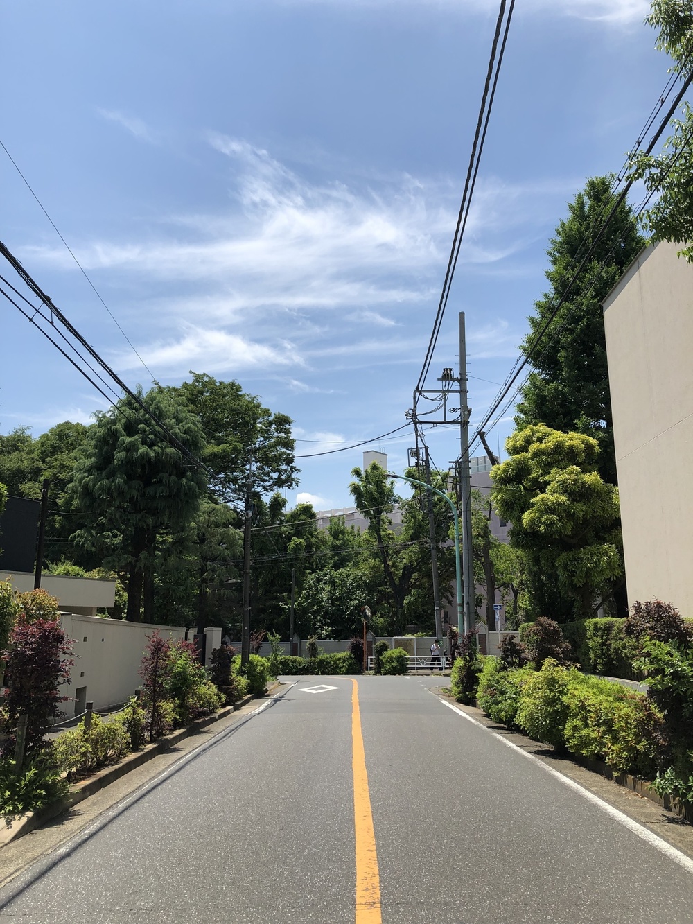 シブエビグルメRuntrip ～渋谷と恵比寿のグルメなエリアを走って回ろう～の写真3