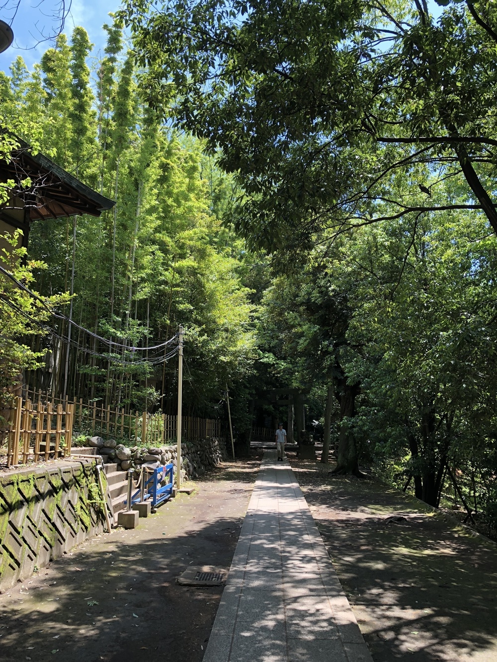 シブエビグルメRuntrip ～渋谷と恵比寿のグルメなエリアを走って回ろう～の写真7