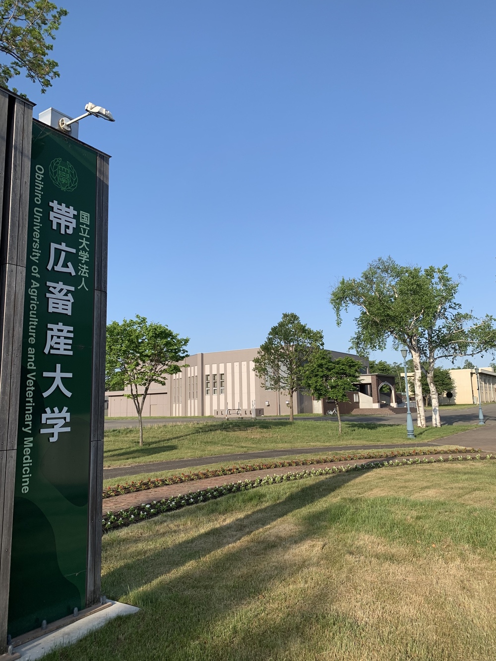 出張朝ラン 帯広駅⇆帯広畜産大の写真3