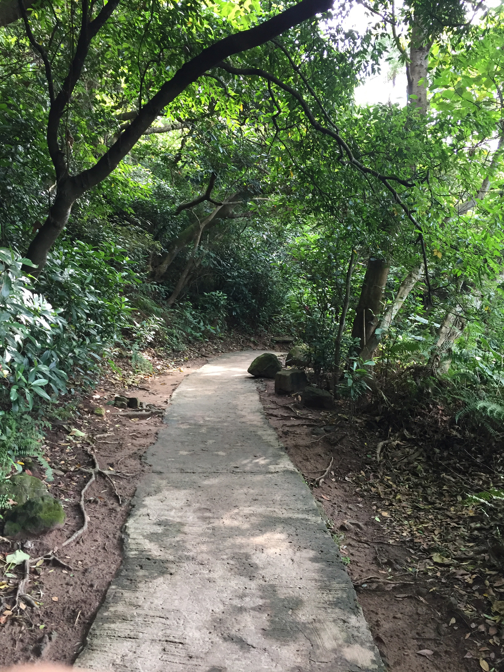 台北でトレランの写真5