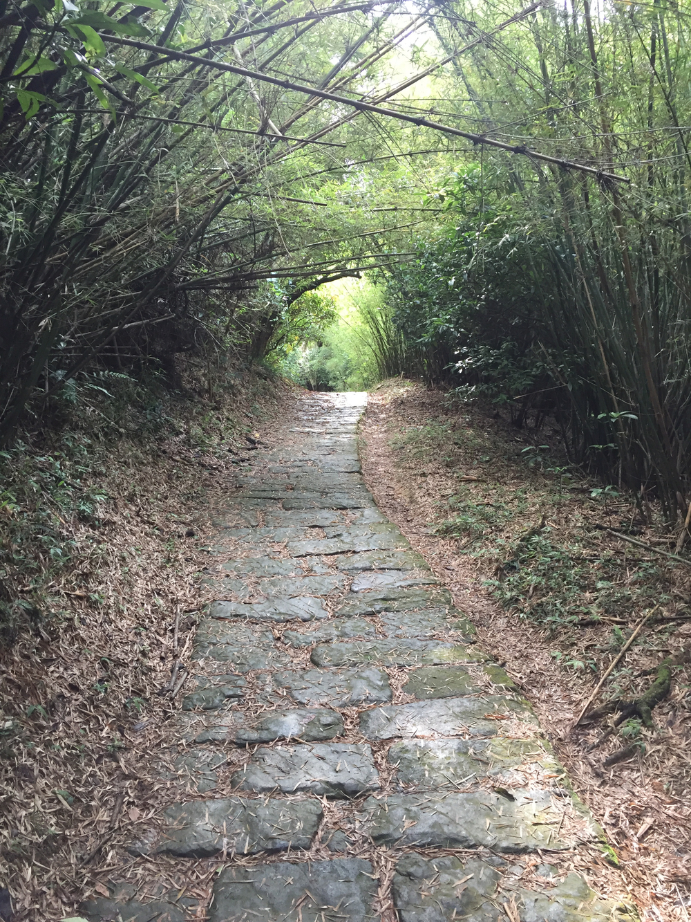 台北でトレランの写真7