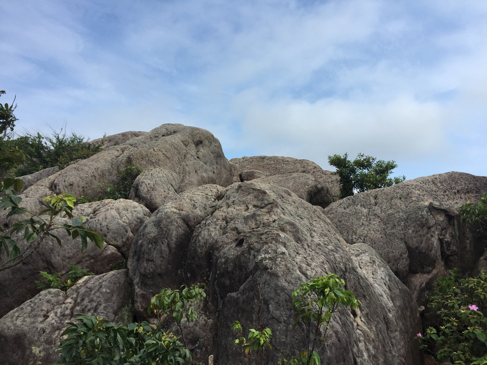 台北でトレランの写真8
