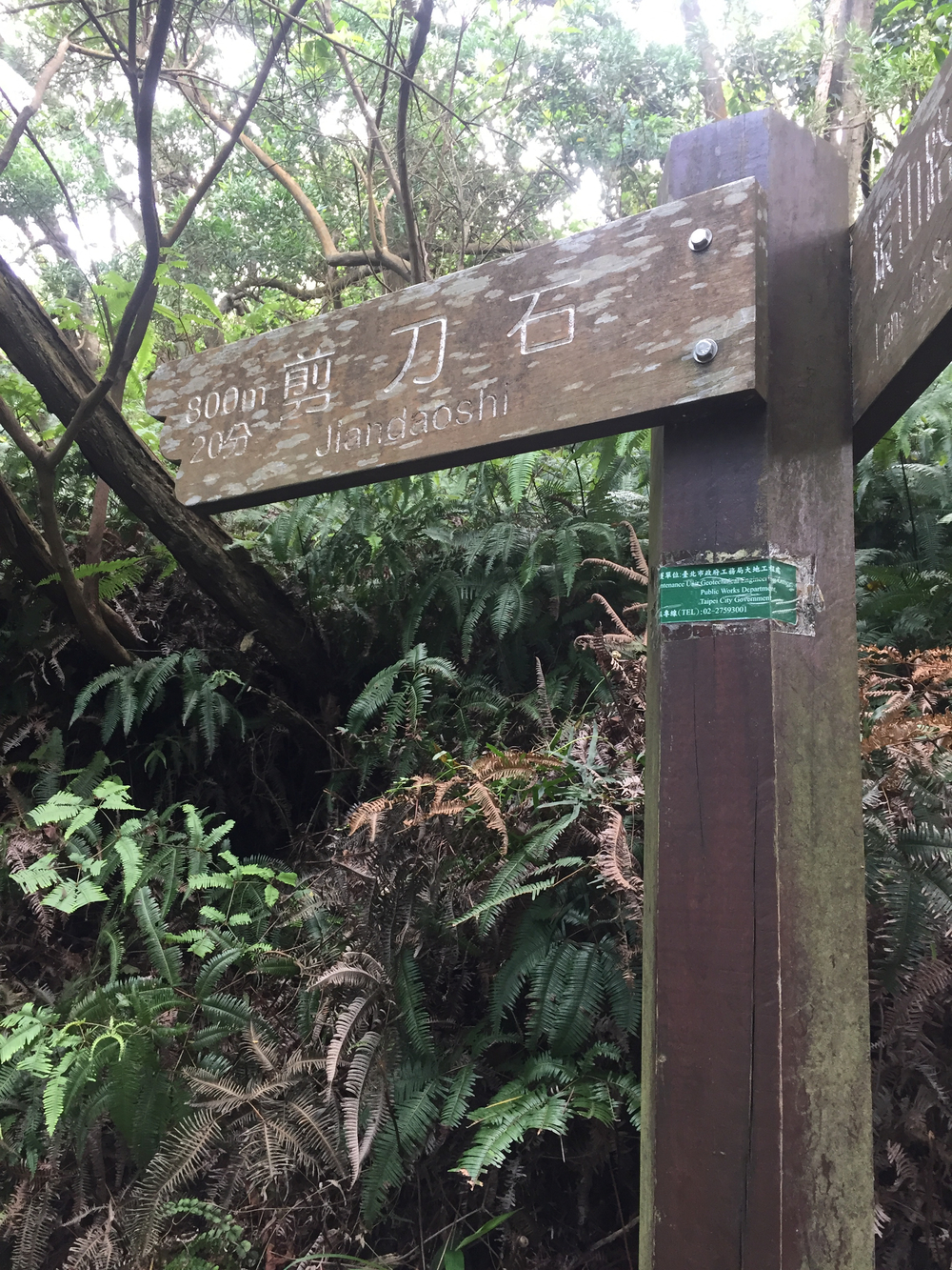 台北でトレランの写真9