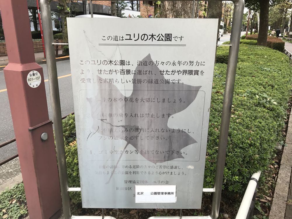 豪徳寺 ユリの木公園ランの写真3