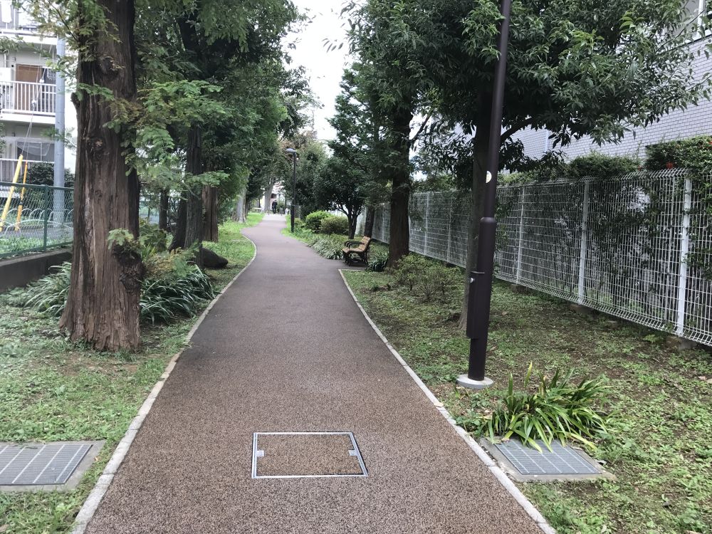 豪徳寺 ユリの木公園ランの写真5