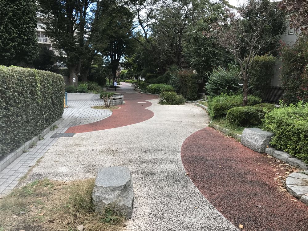 豪徳寺 ユリの木公園ランの写真6
