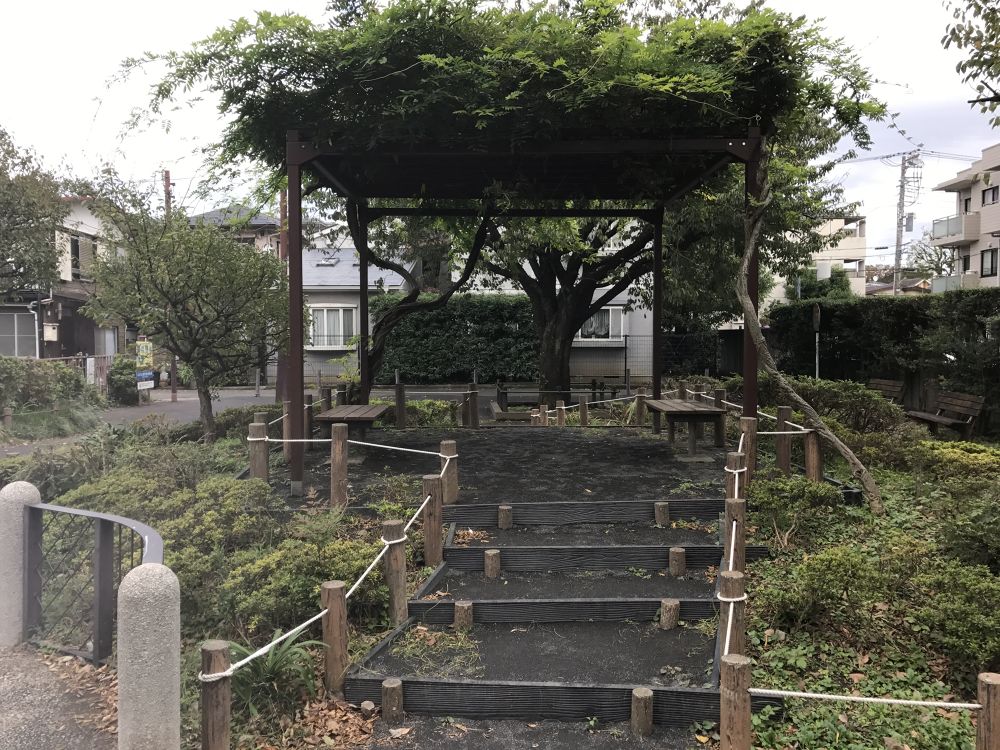 豪徳寺 ユリの木公園ランの写真7