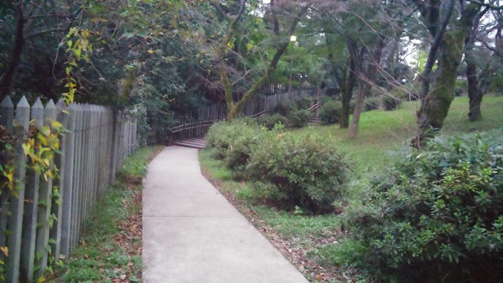 Jリーグの試合で賑わう三ツ沢公園周回コースの写真3