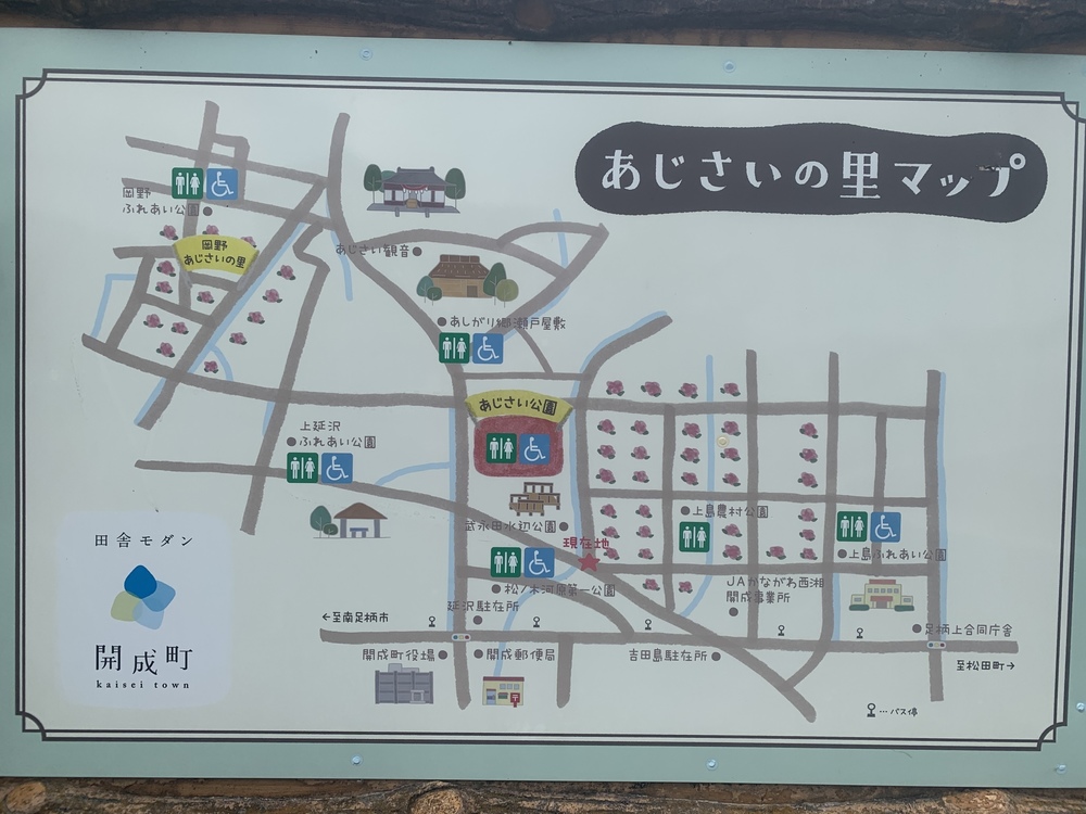 あじさいの里「神奈川県開成町」-紫陽花ラン-の写真3