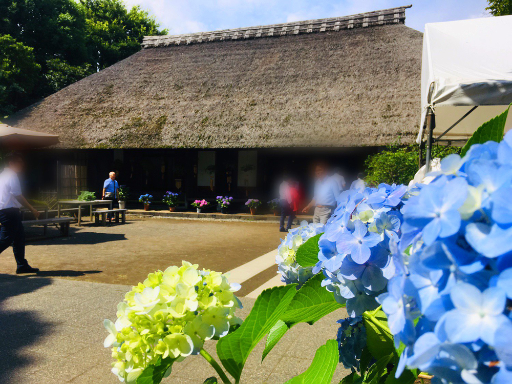 あじさいの里「神奈川県開成町」-紫陽花ラン-の写真8