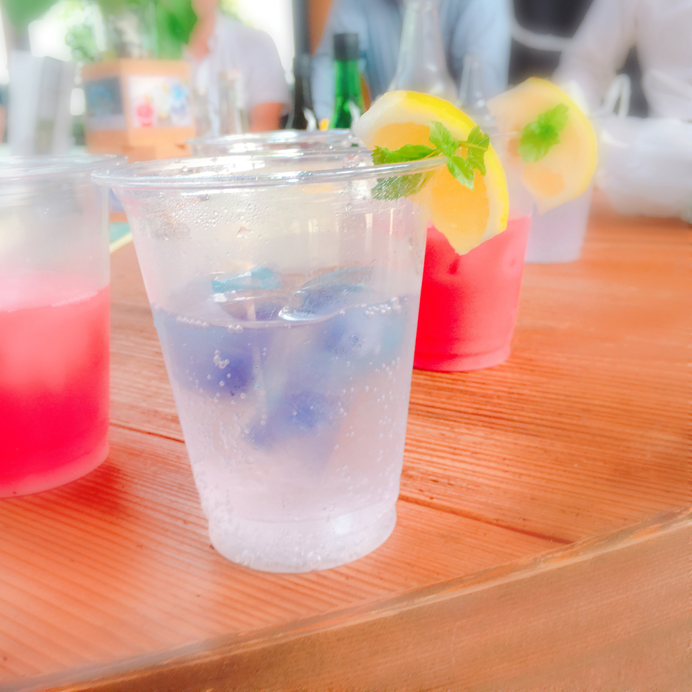 あじさいの里「神奈川県開成町」-紫陽花ラン-の写真10