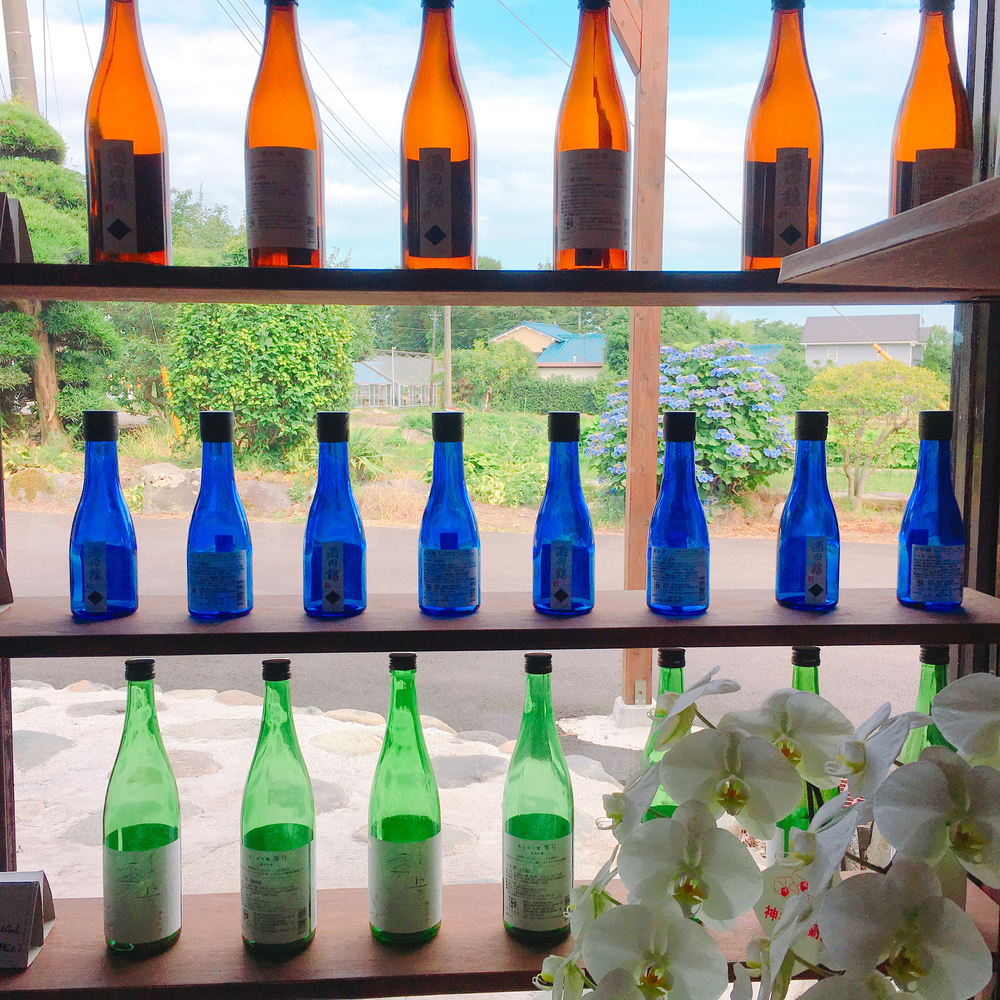 あじさいの里「神奈川県開成町」-紫陽花ラン-の写真14