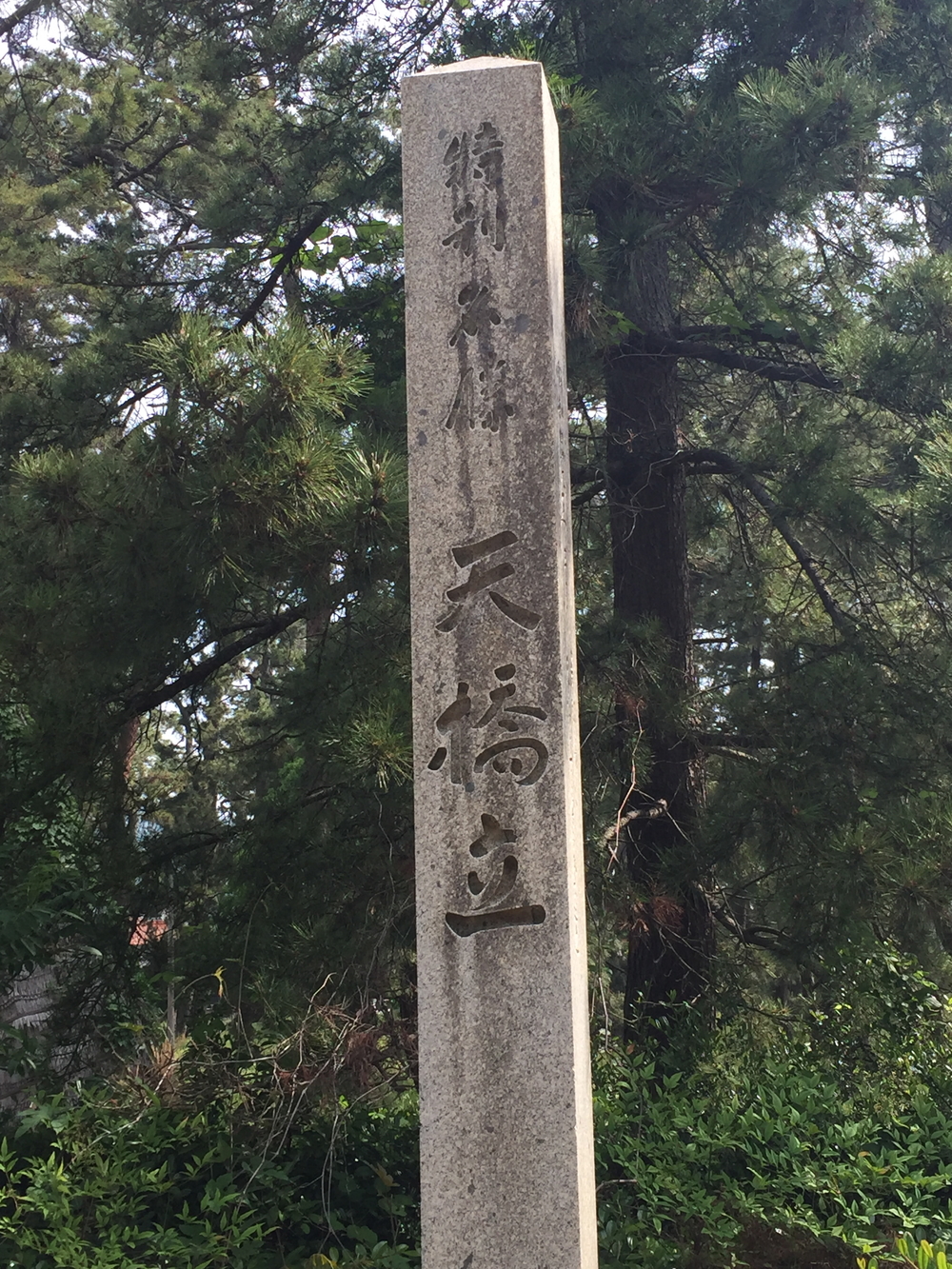 日本三景、天橋立の写真5