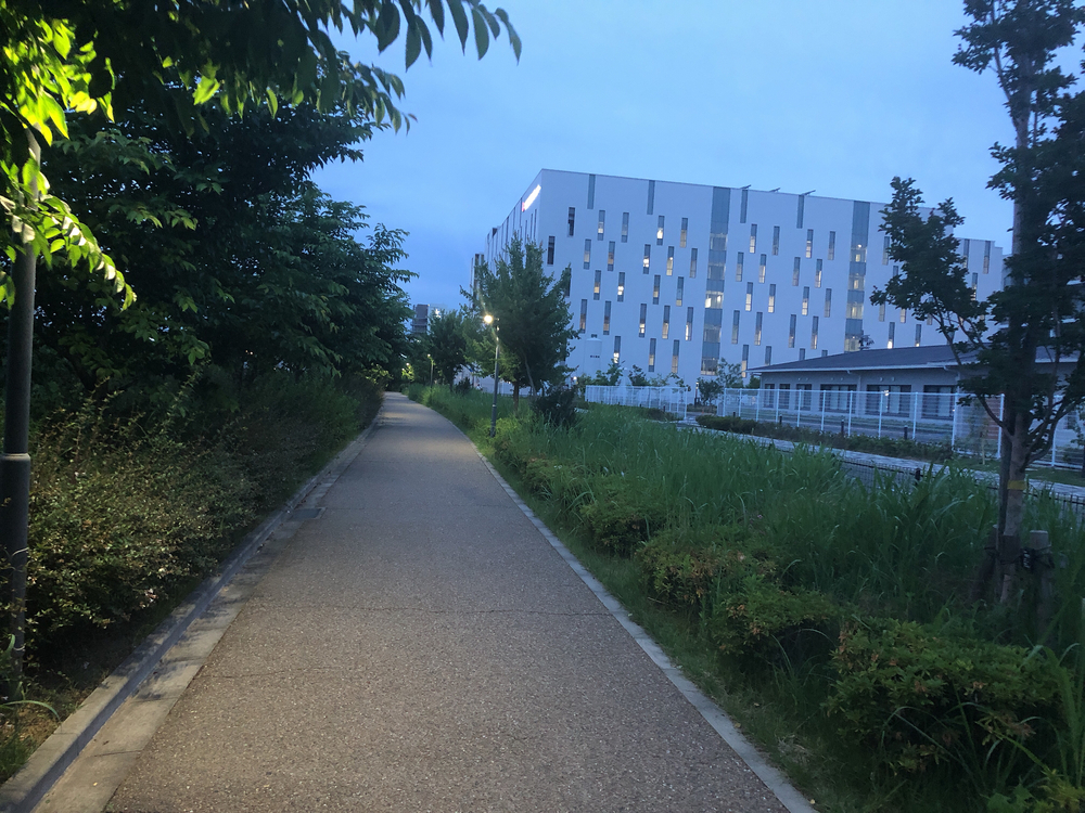 信号がなくて、新しく舗装された明るいコースの写真5