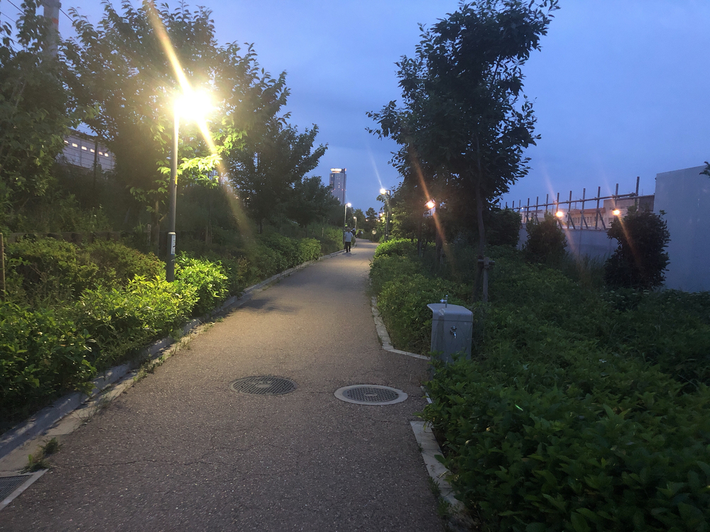 信号がなくて、新しく舗装された明るいコースの写真10