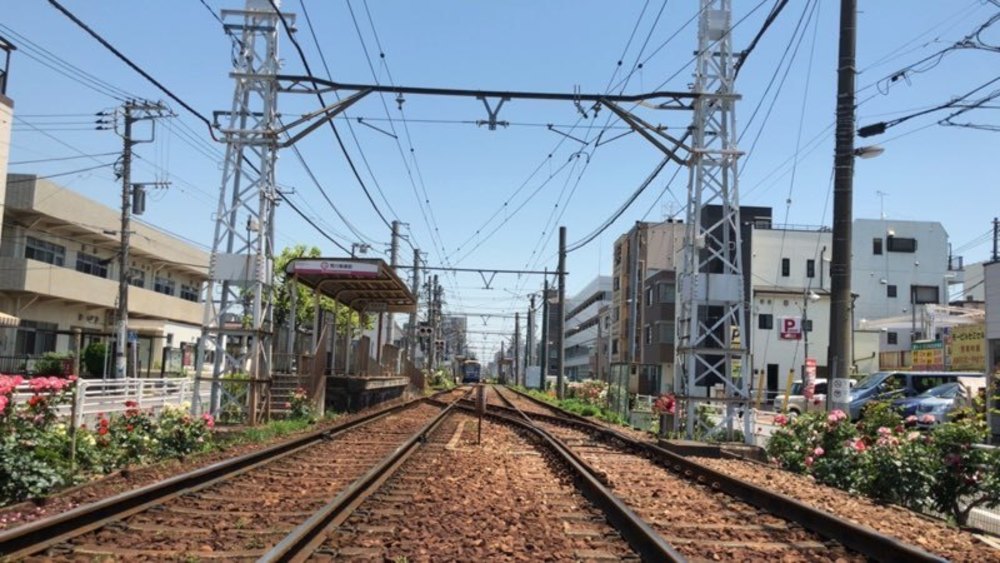 都電荒川線　色鮮やかなバラを愛でるお花見ランの写真8