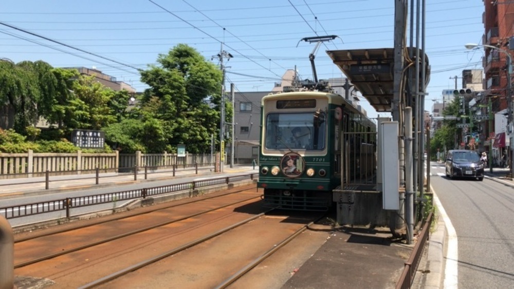 都電荒川線　色鮮やかなバラを愛でるお花見ランの写真9