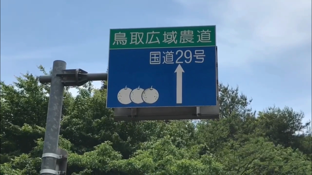 空山(340m) 頂上まで5km登り！の写真3