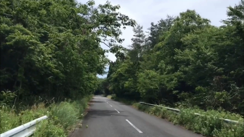 空山(340m) 頂上まで5km登り！の写真4