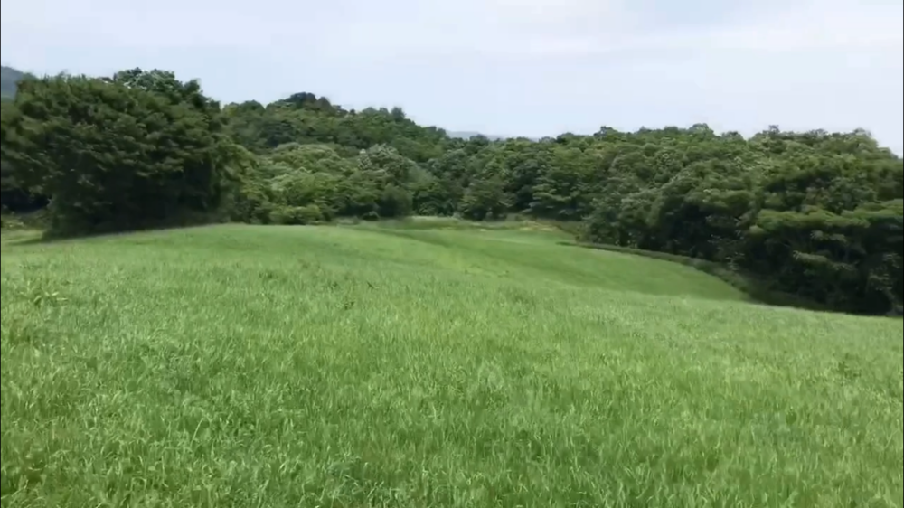 空山(340m) 頂上まで5km登り！の写真7