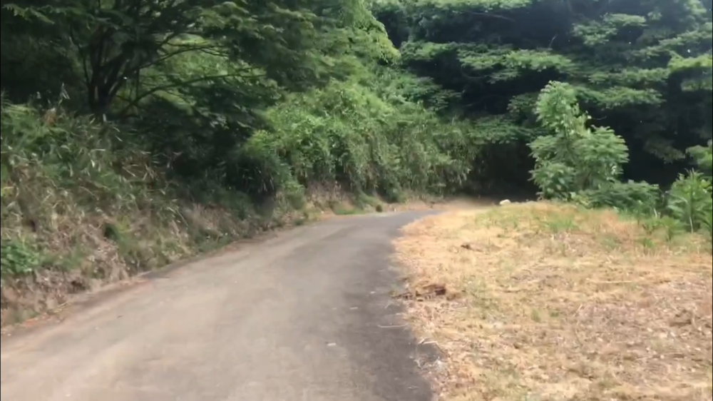 空山(340m) 頂上まで5km登り！の写真9