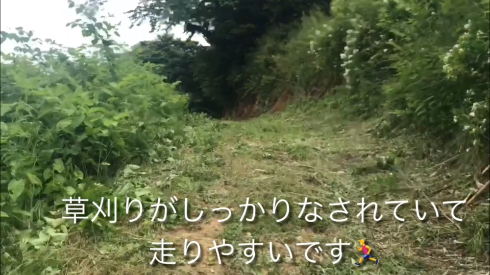 空山(340m) 頂上まで5km登り！の写真10