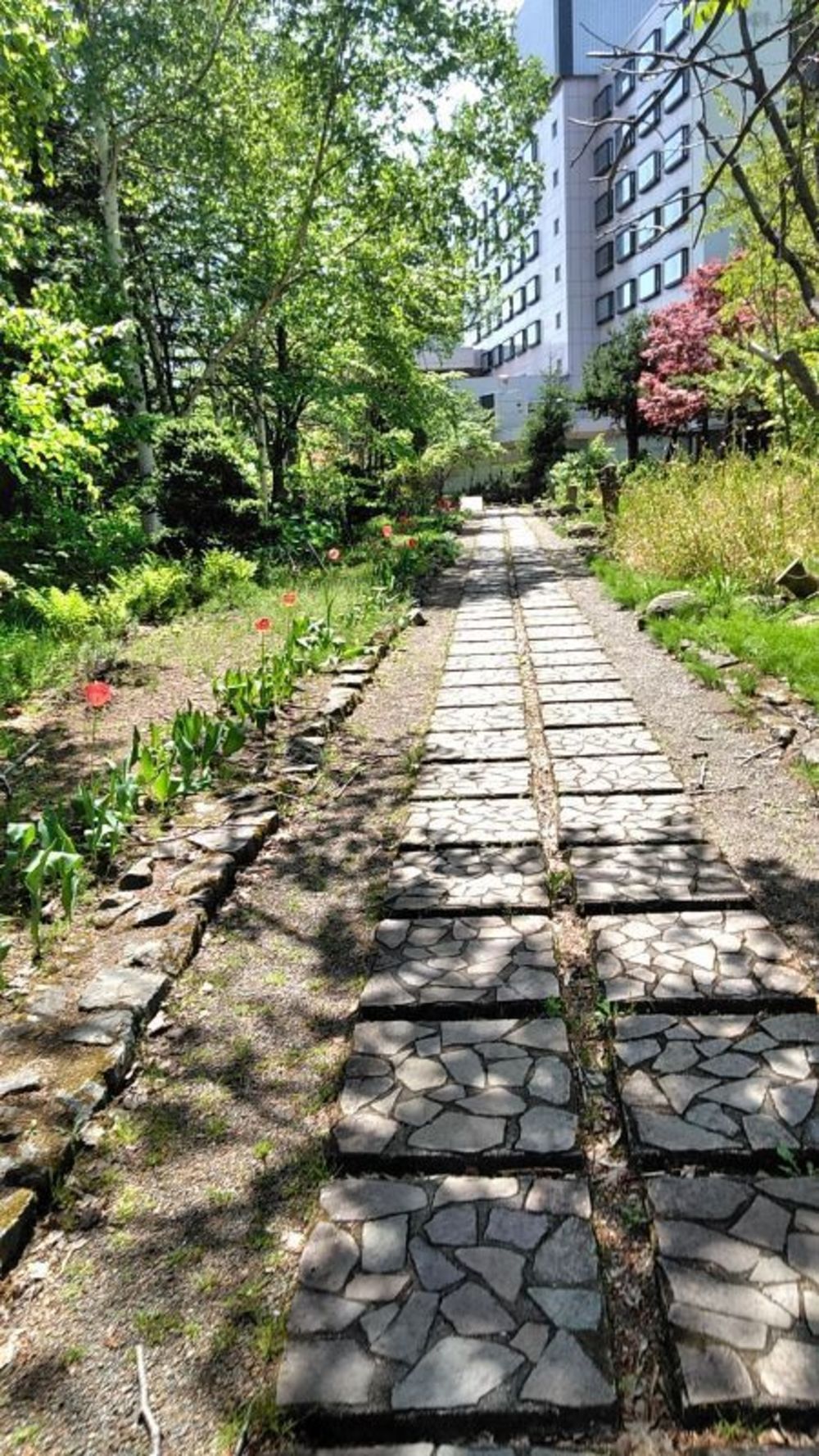 定山渓温泉でカッパ探しの写真7