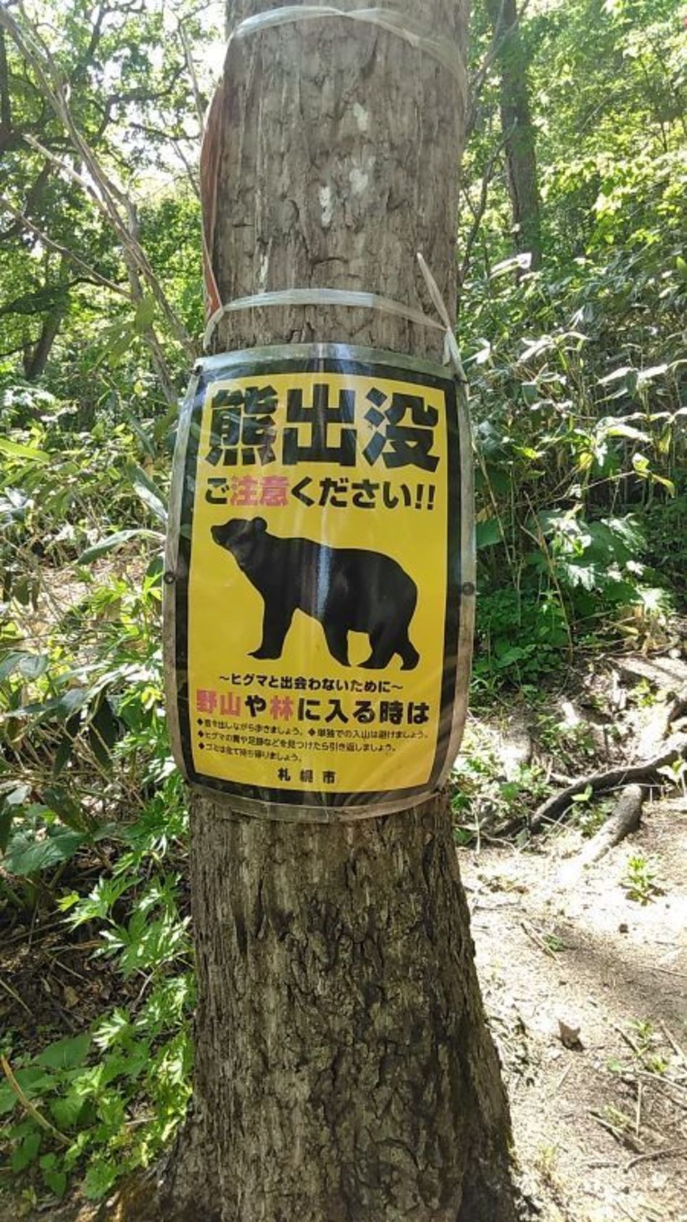 定山渓温泉でカッパ探しの写真11