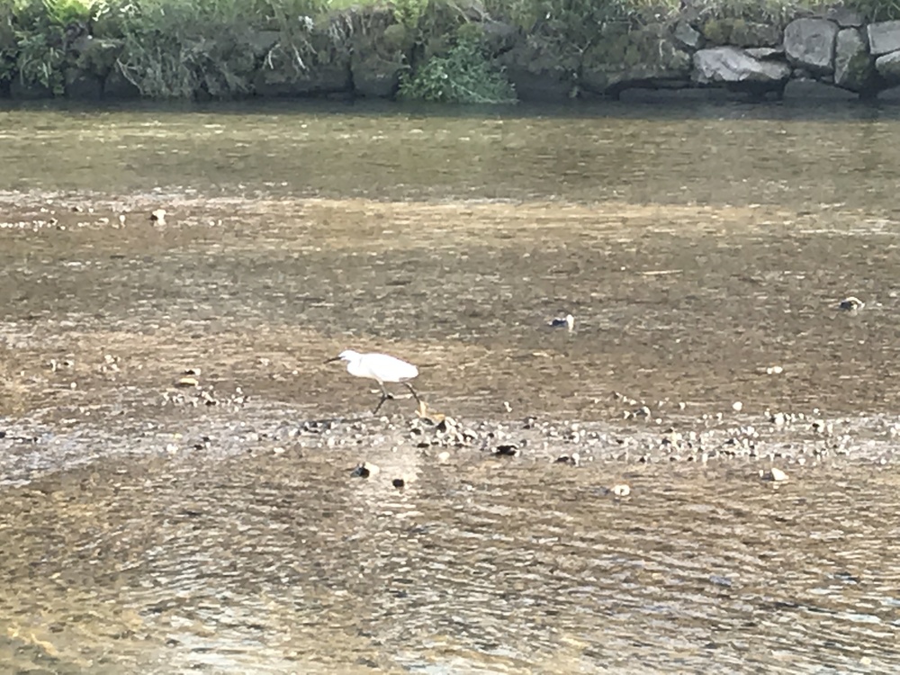 鹿児島:海釣り公園から維新ふるさとの道の写真8