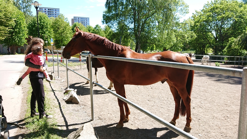 北欧の旅ラン、ストックホルムHuvudsta の写真4
