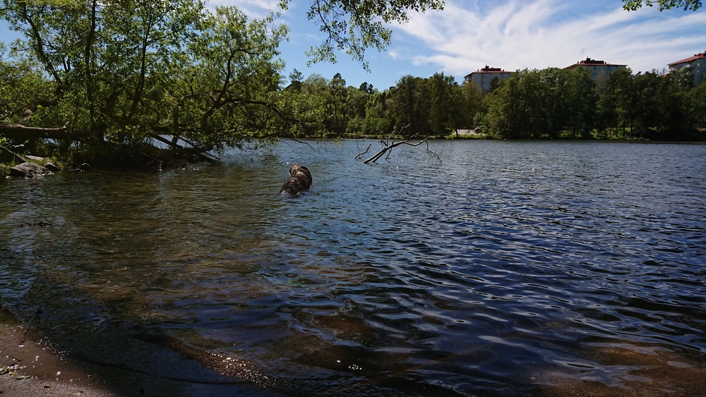 北欧の旅ラン、ストックホルムHuvudsta の写真7